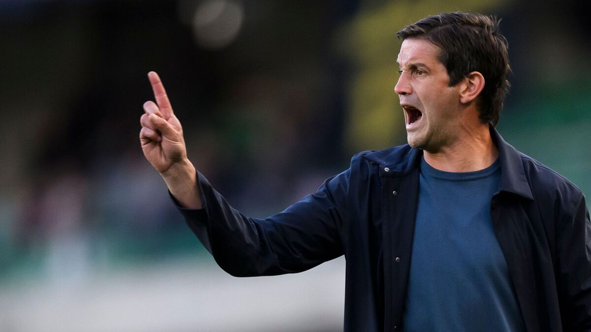 Cristian Chivu's team Parma is in a good position in Serie A, four points ahead of the relegation zone.